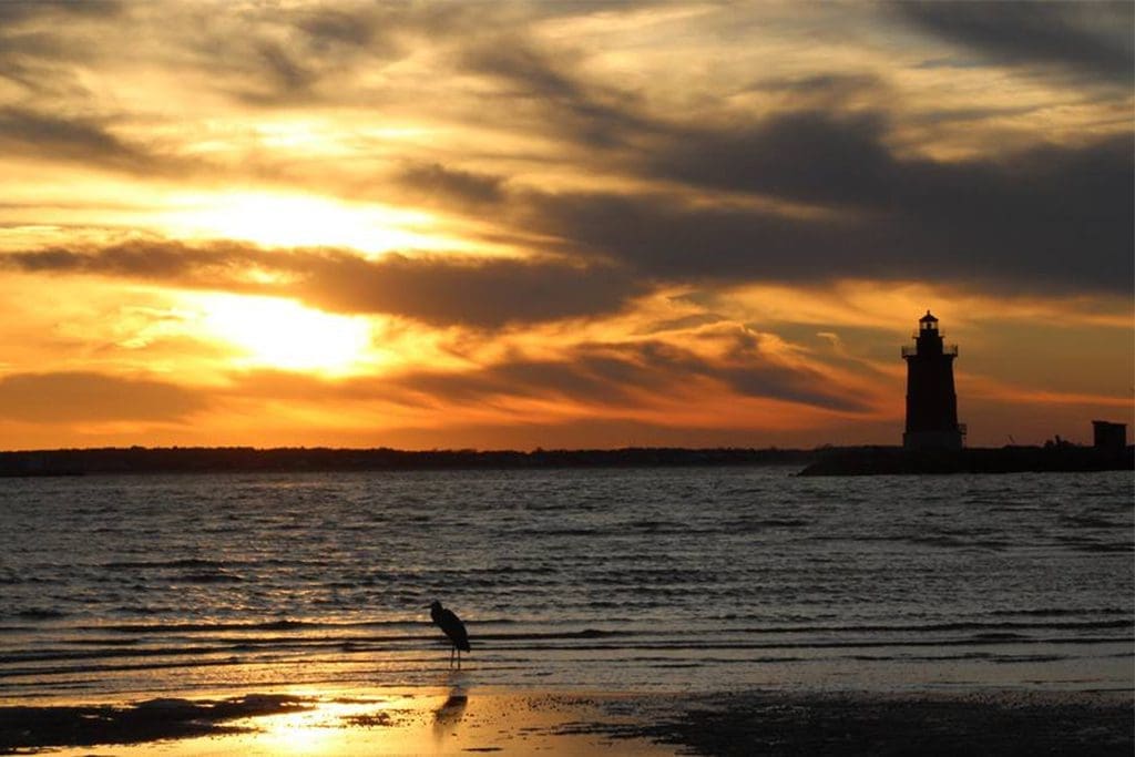 Cape Henlopen State Park