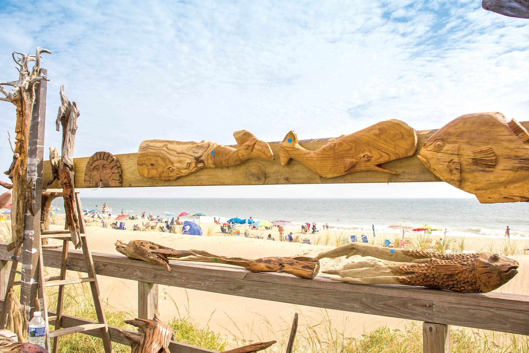 driftwood art